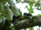DSCF0078.JPG