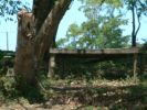 DSCF0083.JPG